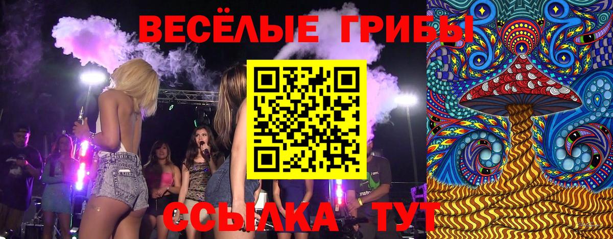 Псилоцибиновые грибы прущие грибы Новый Уренгой