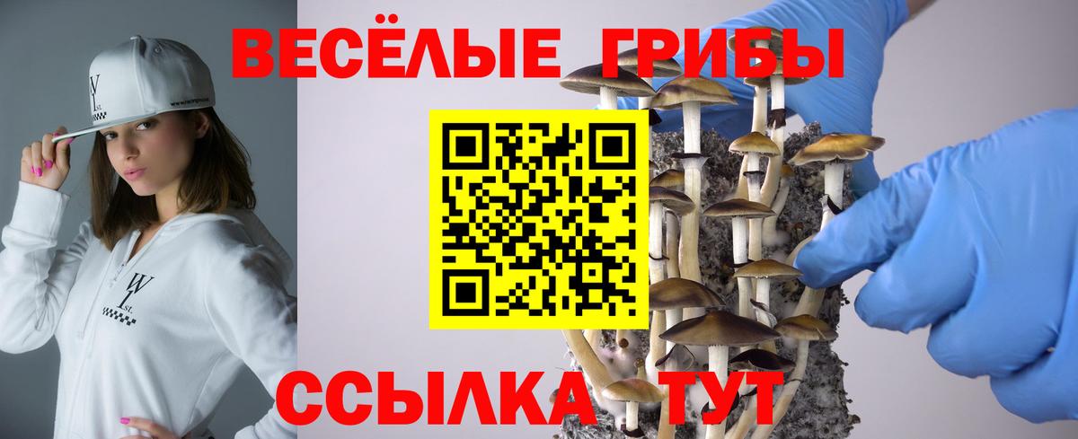 Галлюциногенные грибы мухоморы  Вход с VPN  Новый Уренгой  Галлюциногенные грибы Cubensis 